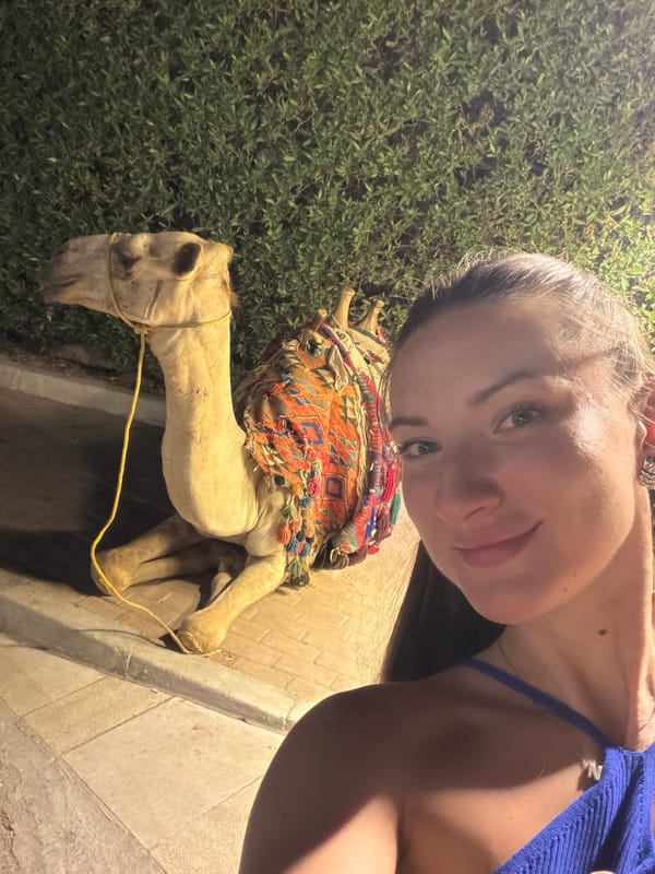 Evening out in Sharm El Sheikh: camels, playground, selfies