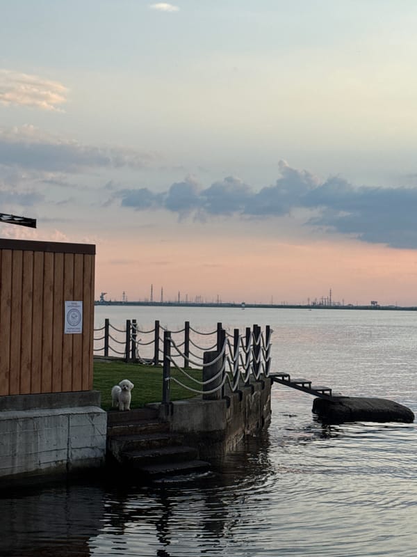 Evening scenes around Chaikovsky waterfront area