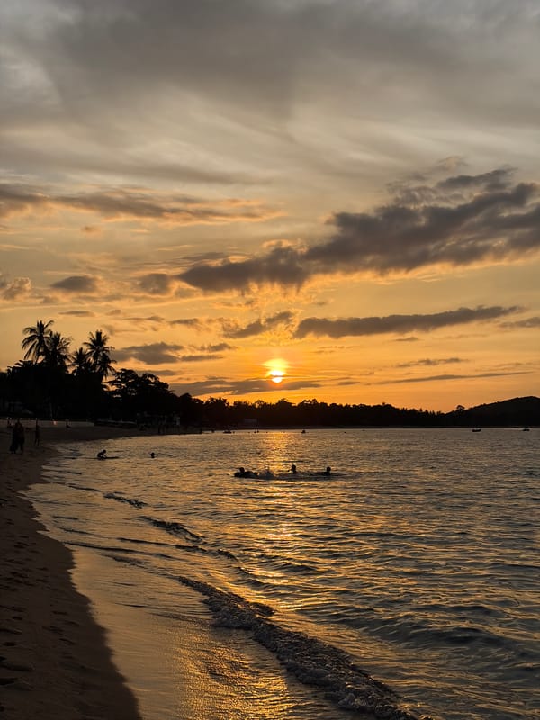Sunset over Ko Samui's calm coastline, boats and palms in view
