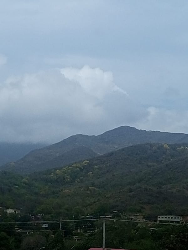 Daily life documented in La Tagua, Venezuela settlement