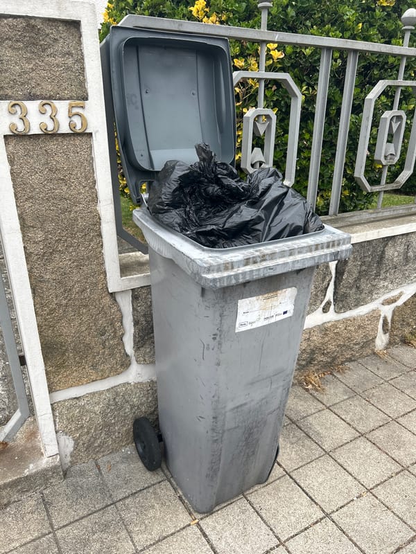 Bins and blooms: street-level details from a Porto neighbourhood