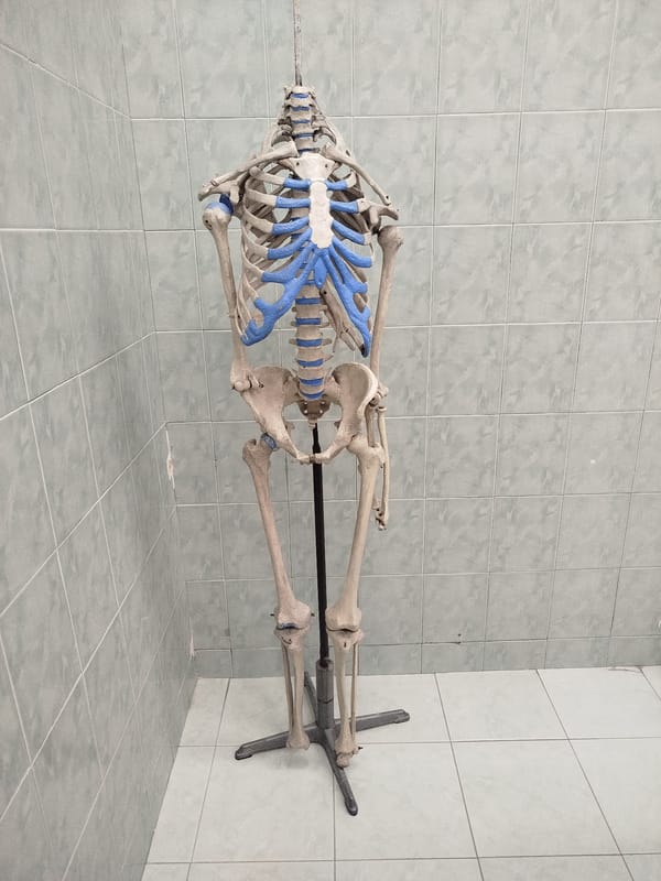 Morning scenes captured in Plovdiv: medical skeleton, parked sedan