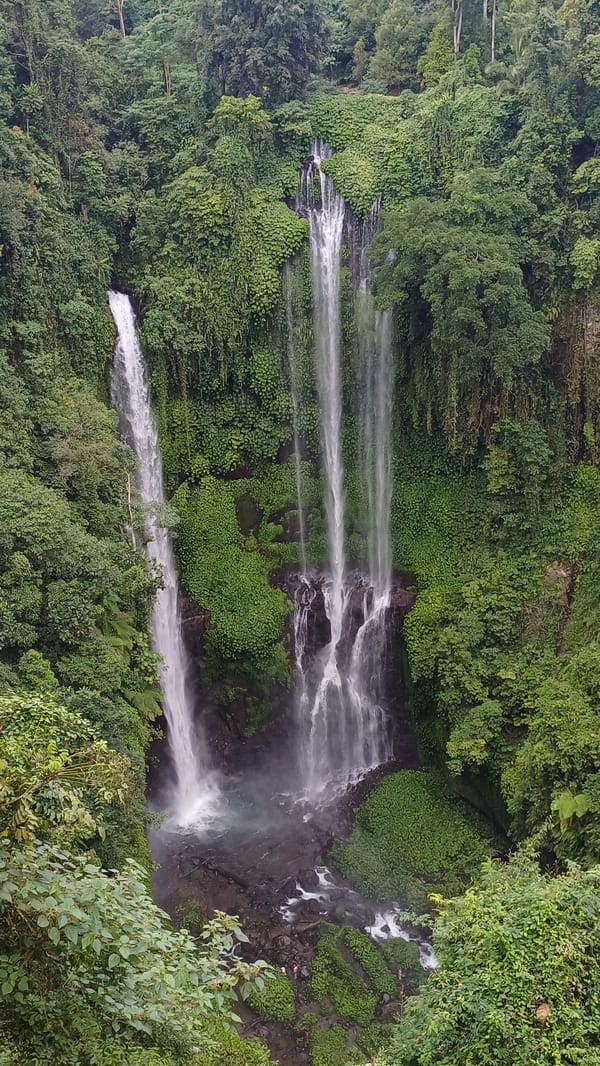Visitors document early morning trip to Sekumpul Waterfall, Bali
