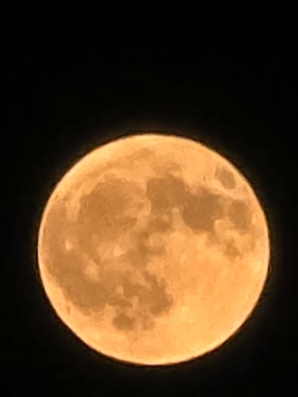Full moon rises warm and golden over Sofia