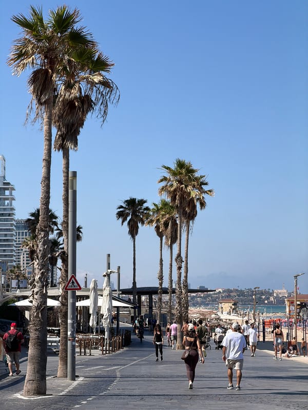 Aircraft spotted over Tel Aviv promenade during morning activities
