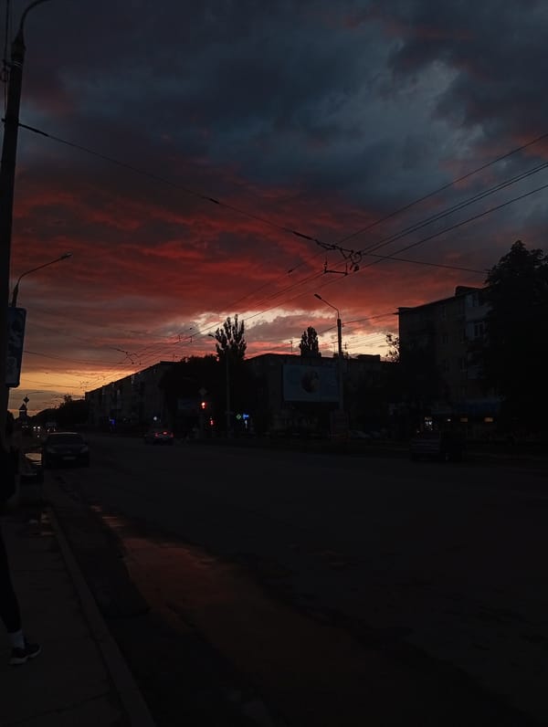 Dusk to dark: stormy sunset and a glowing city tree
