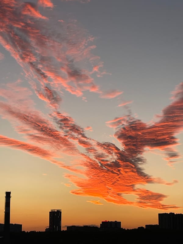 Urban skyline at golden hour, towers and power lines in silhouette