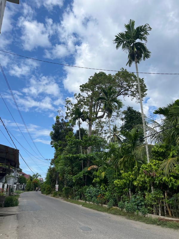 Quiet residential streets and a mosque in Langsa, Indonesia