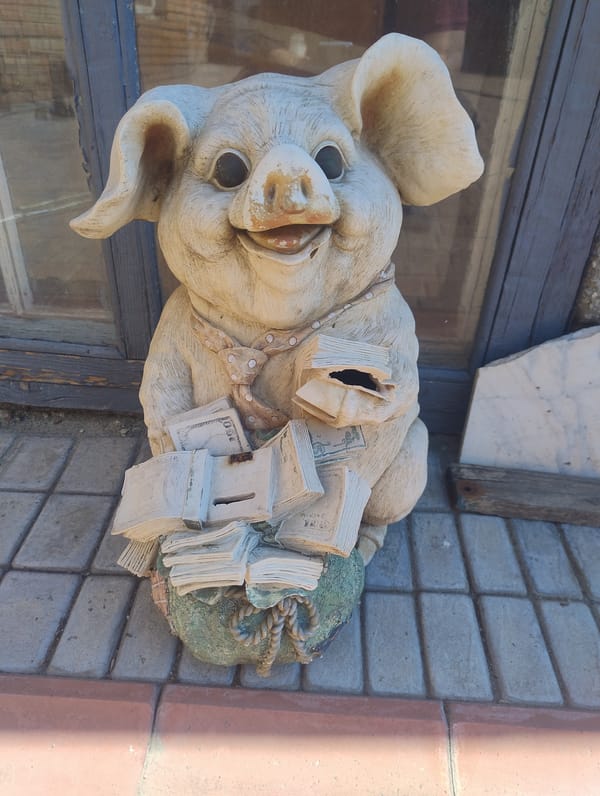 Morning garden walk captures plants, statues, and street views