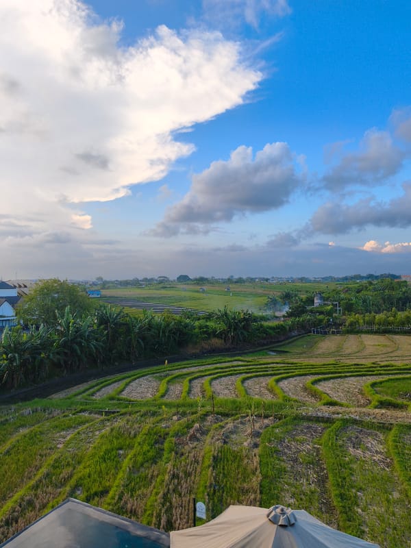 Terraced rice paddies documented in North Kuta, Indonesia