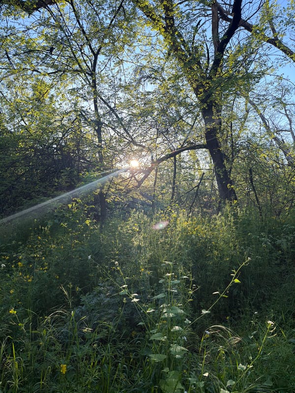 Woman enjoys spring afternoon in Russian countryside