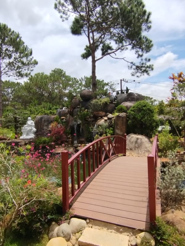 Tourist explores Da Lat gardens, pagodas and cable cars