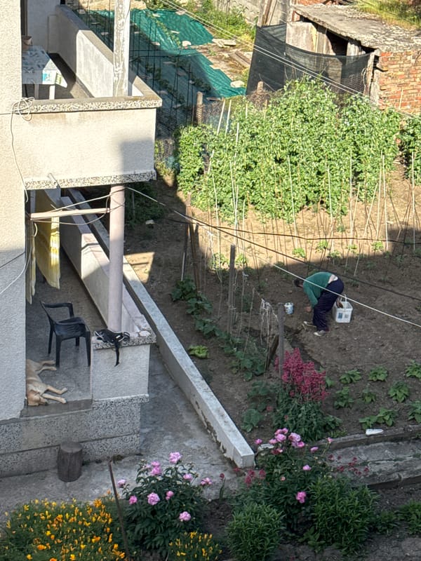 Everyday scenes observed from above in Tsarevo, Bulgaria
