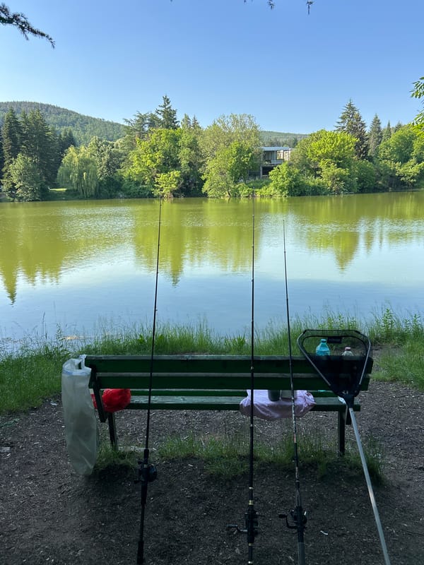Peaceful fishing spot documented in Starozagorski bani, Bulgaria