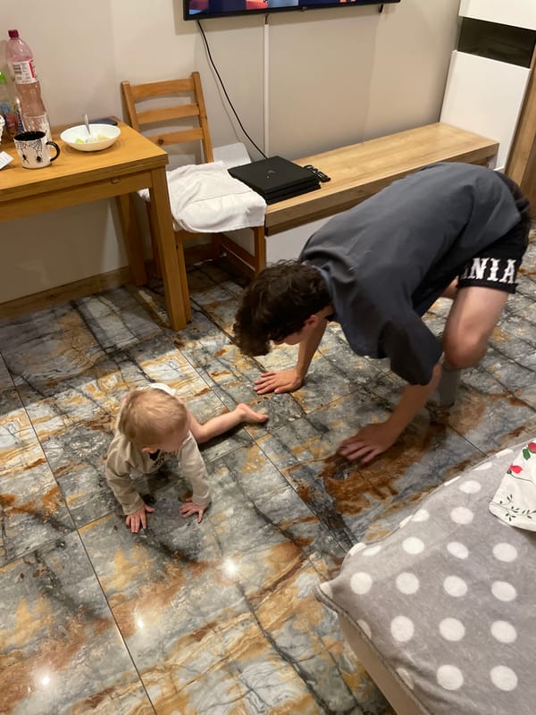 Children crawling and playing indoors in family setting