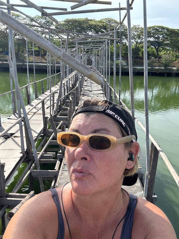 Tourists document deteriorating bridges and wildlife in Baan Chaweng