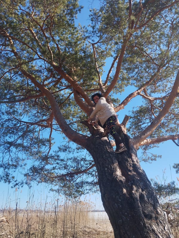 Woman conducts extended selfie session in Votkinsk park
