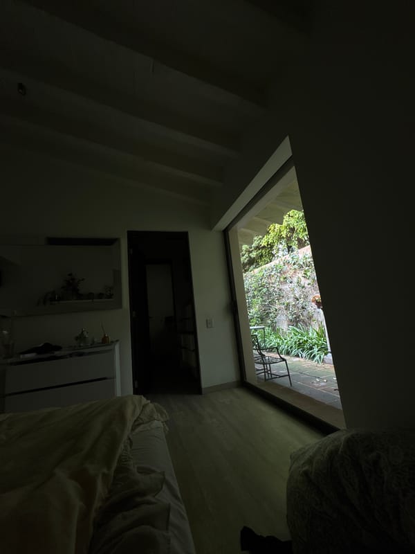 Mexico City resident captures upward skylight view of private garden