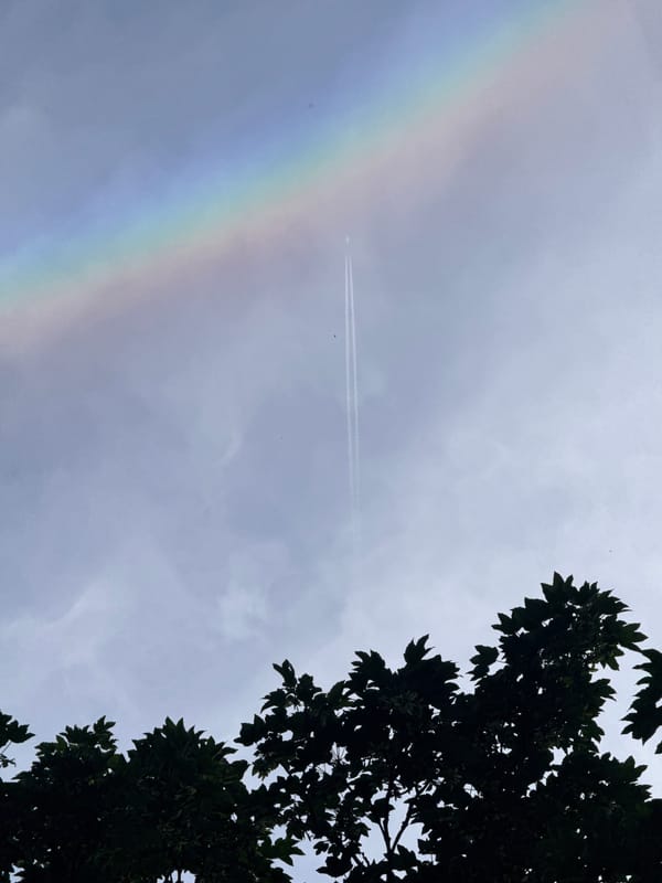Nature, food, and vehicles on a June afternoon in Amstelveen