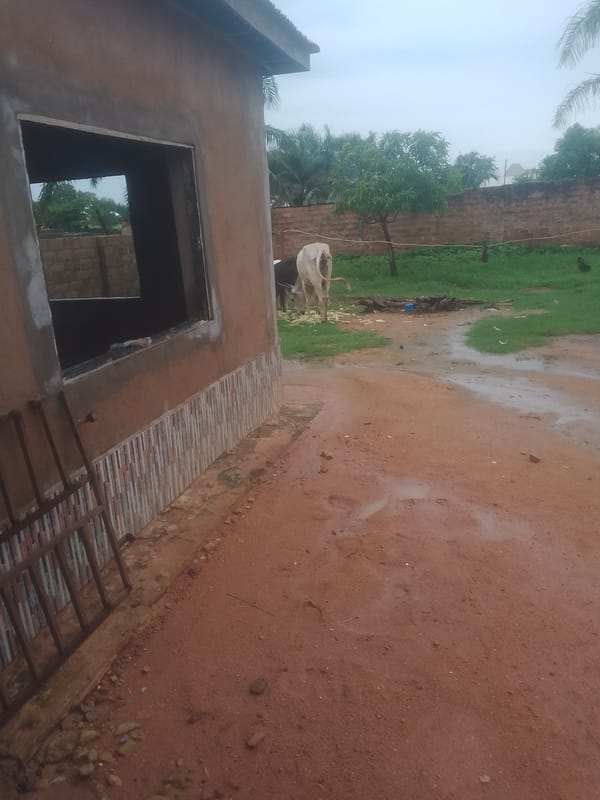 Everyday household objects and outdoor surroundings in Jauro Yinu, Nigeria
