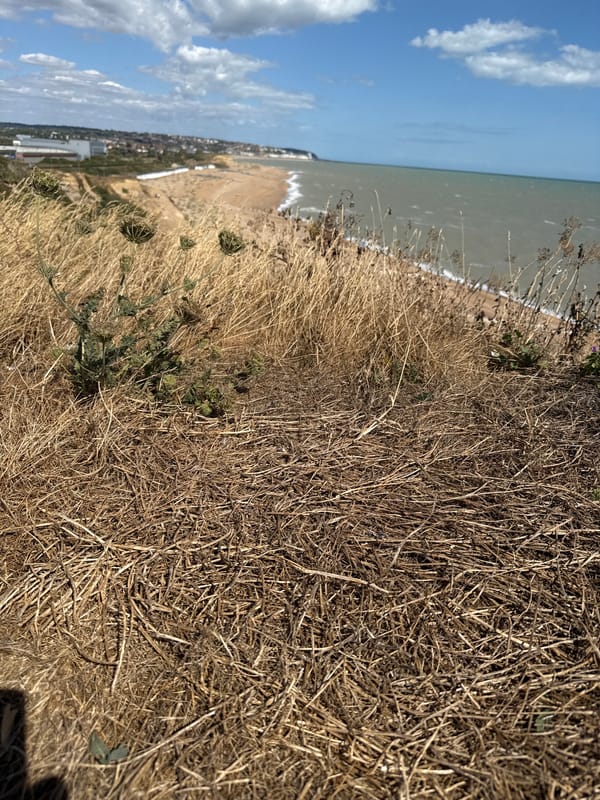 East Sussex pebble beach and Channel coastline on a summer afternoon