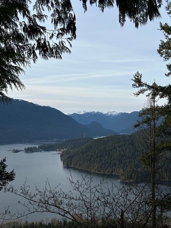 Morning scenic views captured across Burnaby parkland and lakeside
