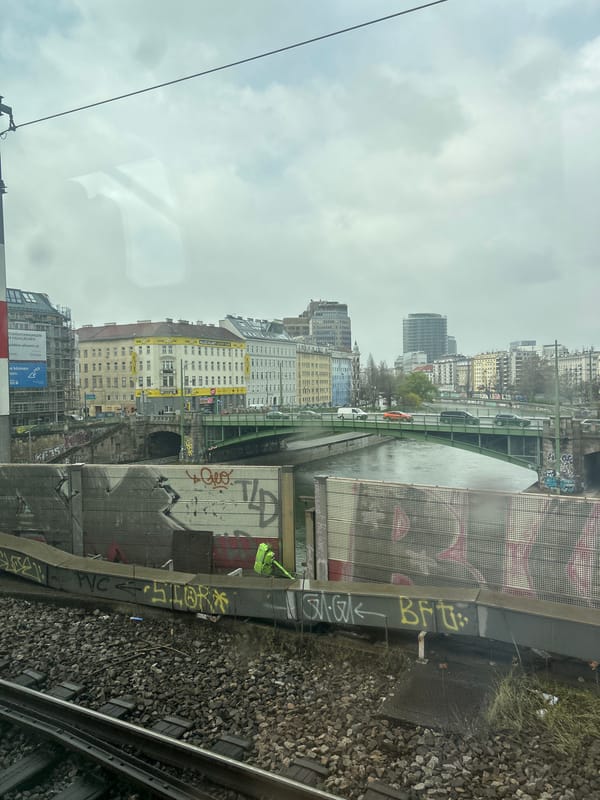 Train passenger views Vienna railway infrastructure with graffiti