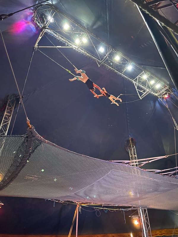 Trapeze artists perform aerial acts at Tejalpa circus show