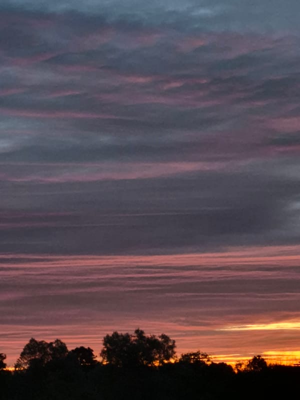 Layered sunset sky above a silhouetted treeline in Sooblase, Estonia