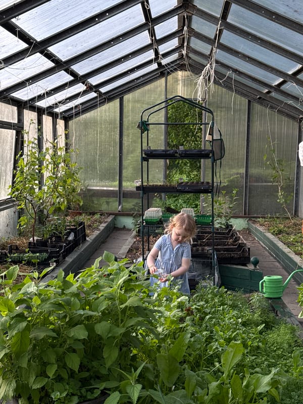 Child explores greenhouse with jar in Sapronovo, Russia