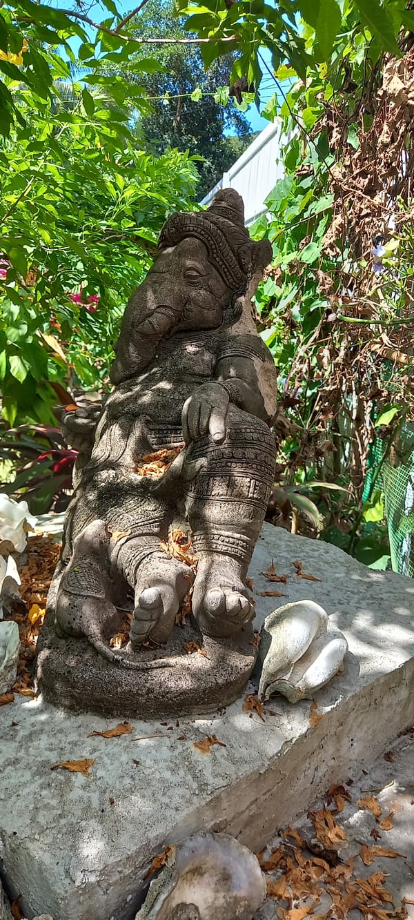 Morning garden documentation captures diverse flora and Hindu statue