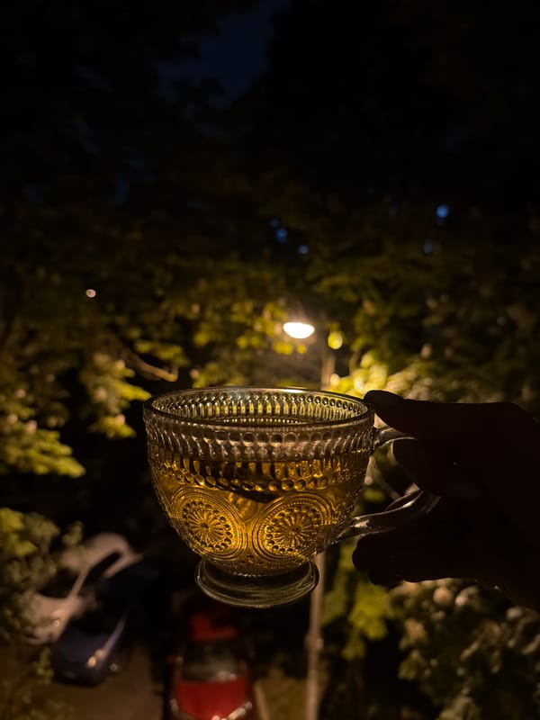 Evening domestic moments captured: drink, cat, tapestries, street lights