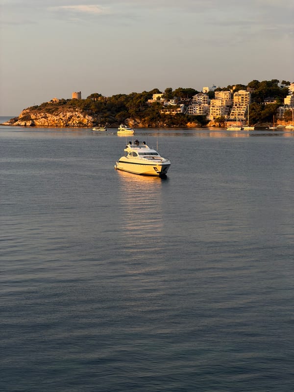 Palmanova bay at golden hour, boats, blooms, and a torii gate