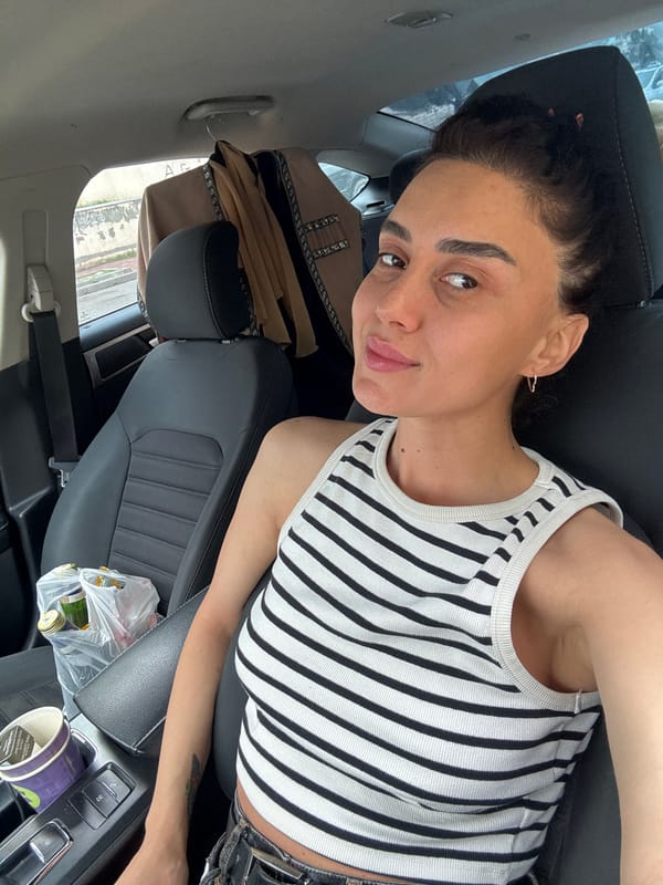 Car interior shots in Tbilisi, multiple angles and positions