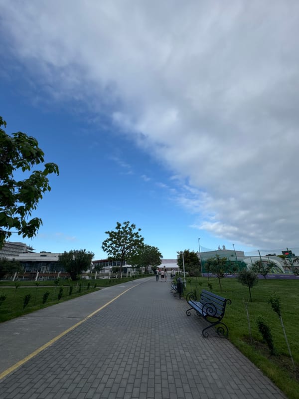 Morning park scenes documented in Sirius, Russia