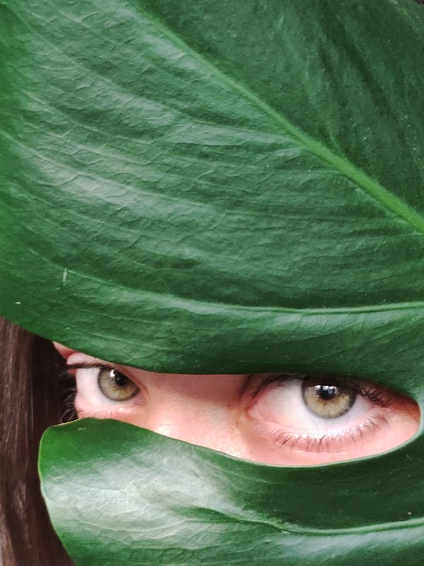 Personal moments captured across Chaikovsky, Russia during spring afternoon