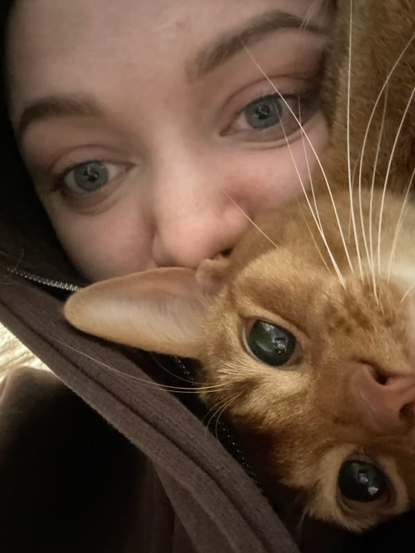 Person poses with orange tabby cat in Kazan