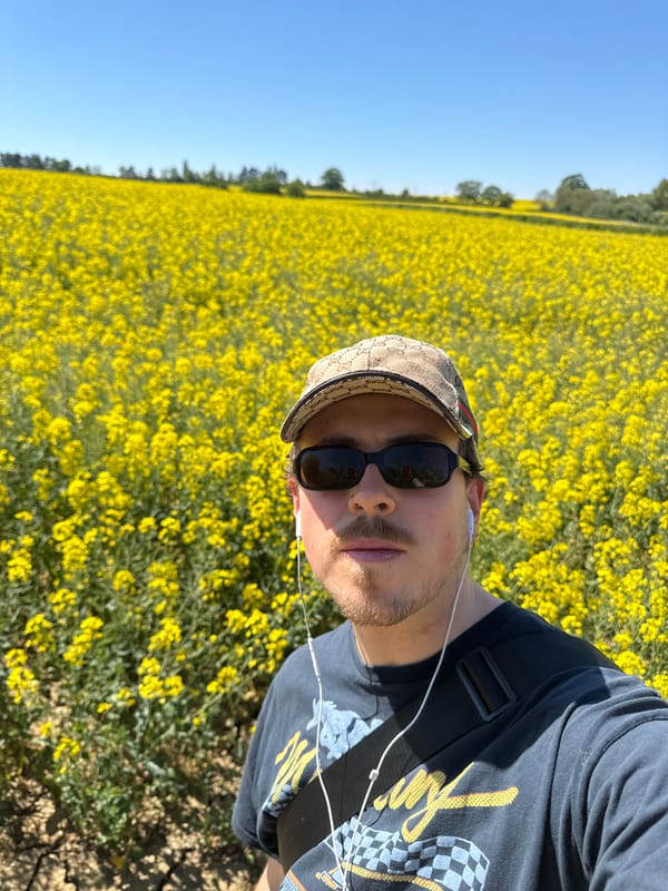Young man visits yellow flower field in North Hertfordshire