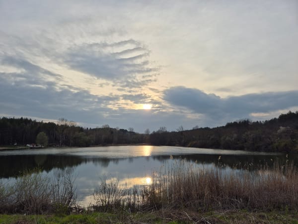Spring landscape reflections photographed in Pleven, Bulgaria