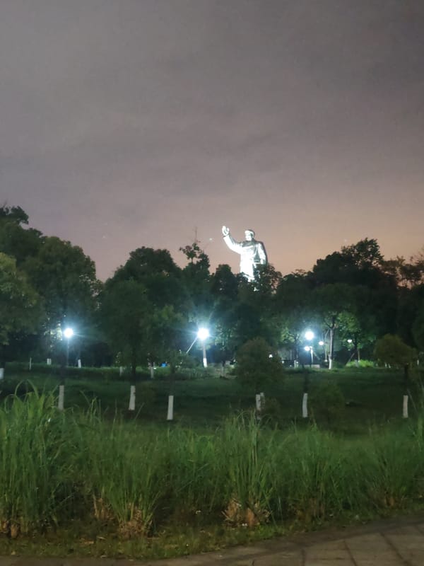 Cats spotted roaming nighttime park in Chongqing High-tech Zone
