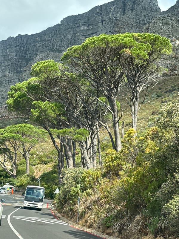 Traffic jam observed along Table Mountain road in Cape Town