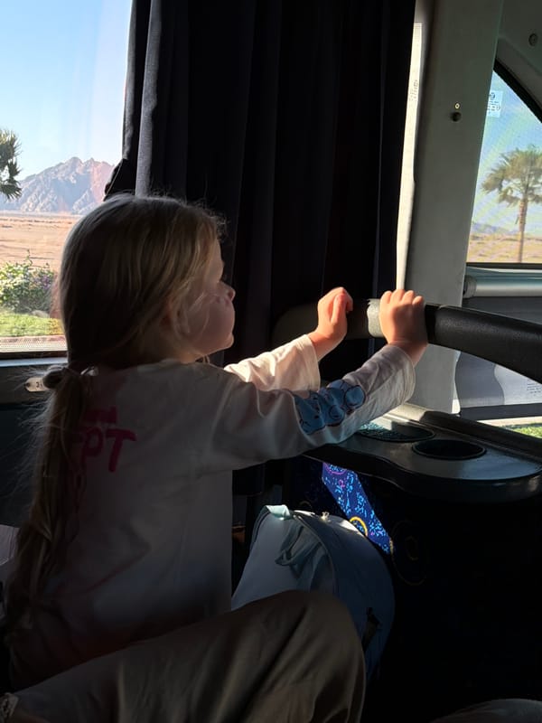Young girl spotted riding bus in Egypt