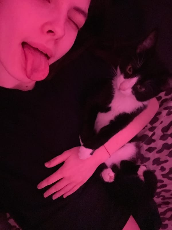 Magenta-lit indoor scenes with people and cat in Saint Petersburg