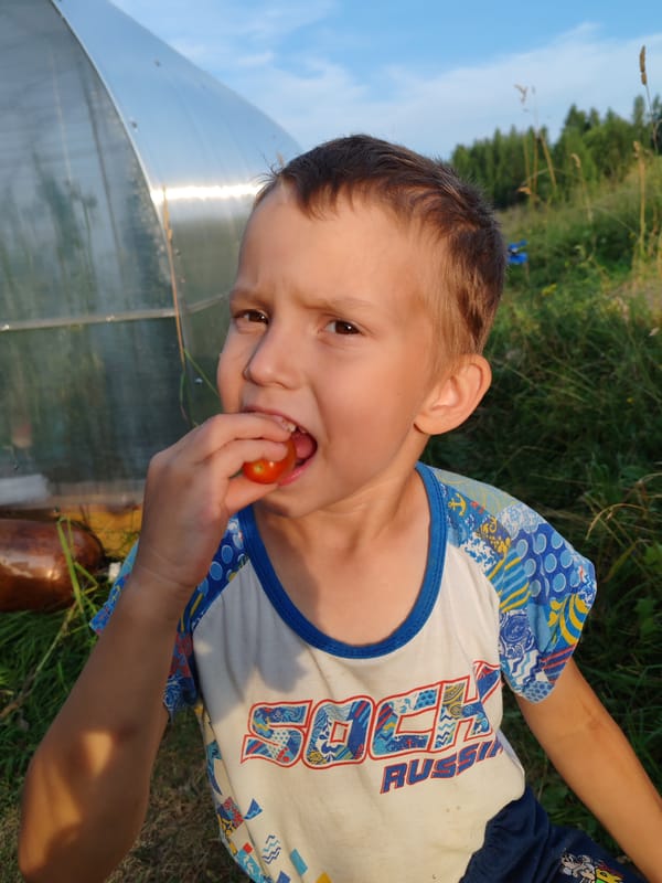 A lazy summer afternoon in a Russian village garden