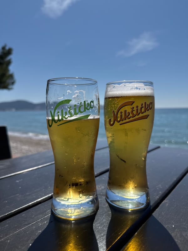 Cat, beer, coastal views documented in Montenegro morning