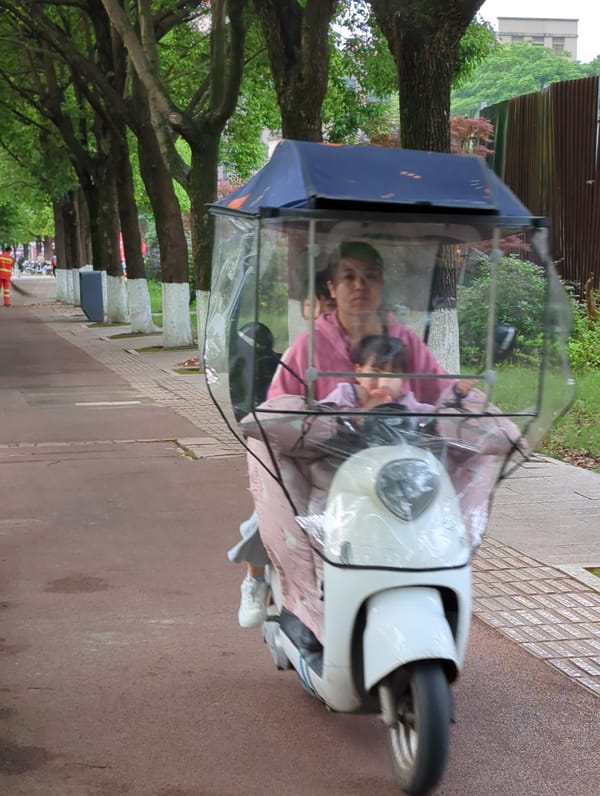 Woman in electric rickshaw, golden retriever spotted in Jiangjin