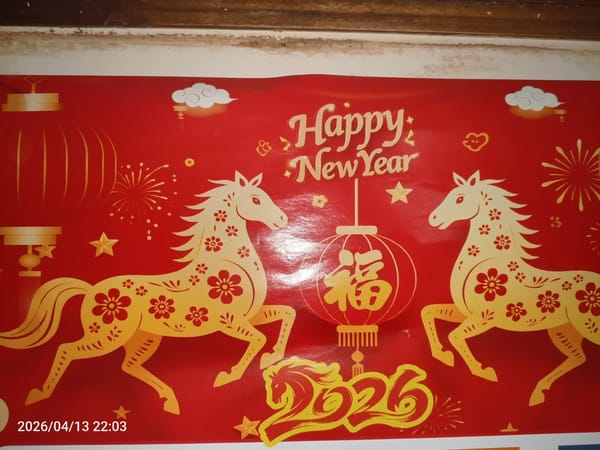 Morning scenes captured in Tinaquillo: New Year poster, tabby cat