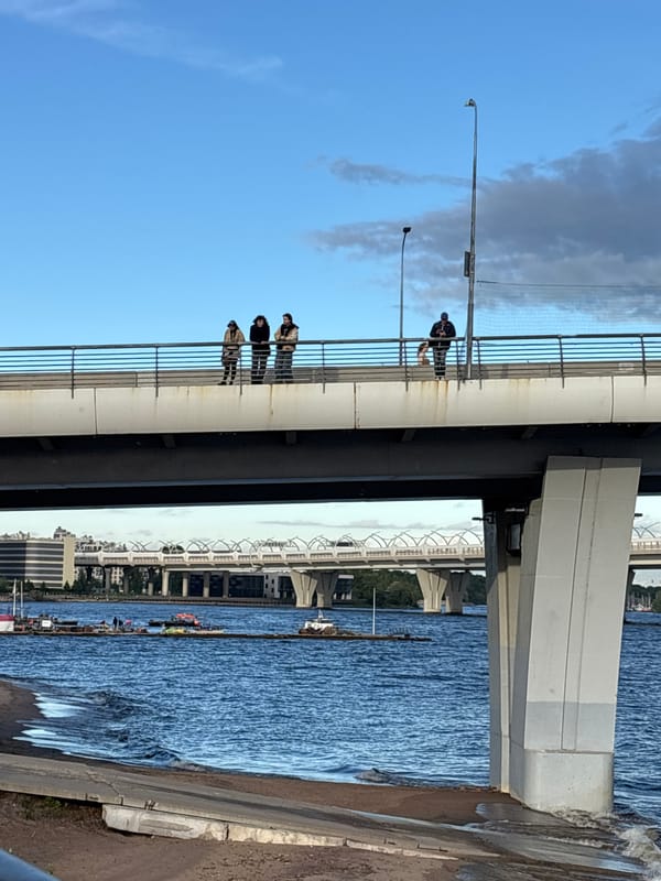 Modern river bridge and waterfront activity in Lednevo, Russia