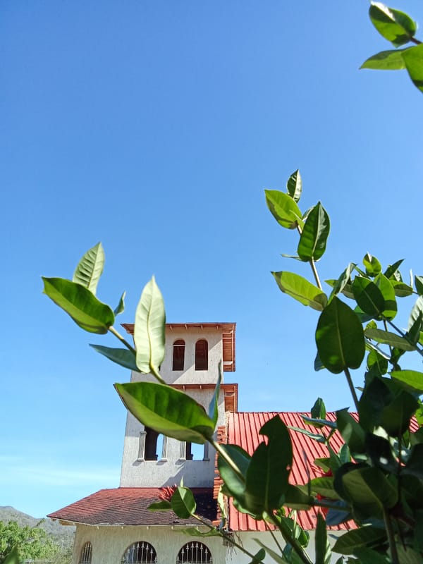 Unknown witness documents Juan Griego architecture and vegetation