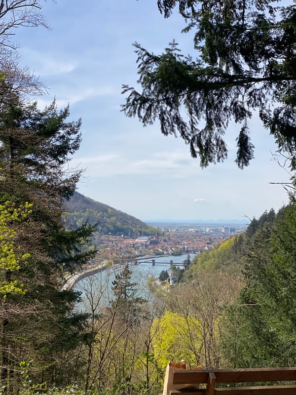 Scenic Heidelberg overlook captured from elevated riverside trail